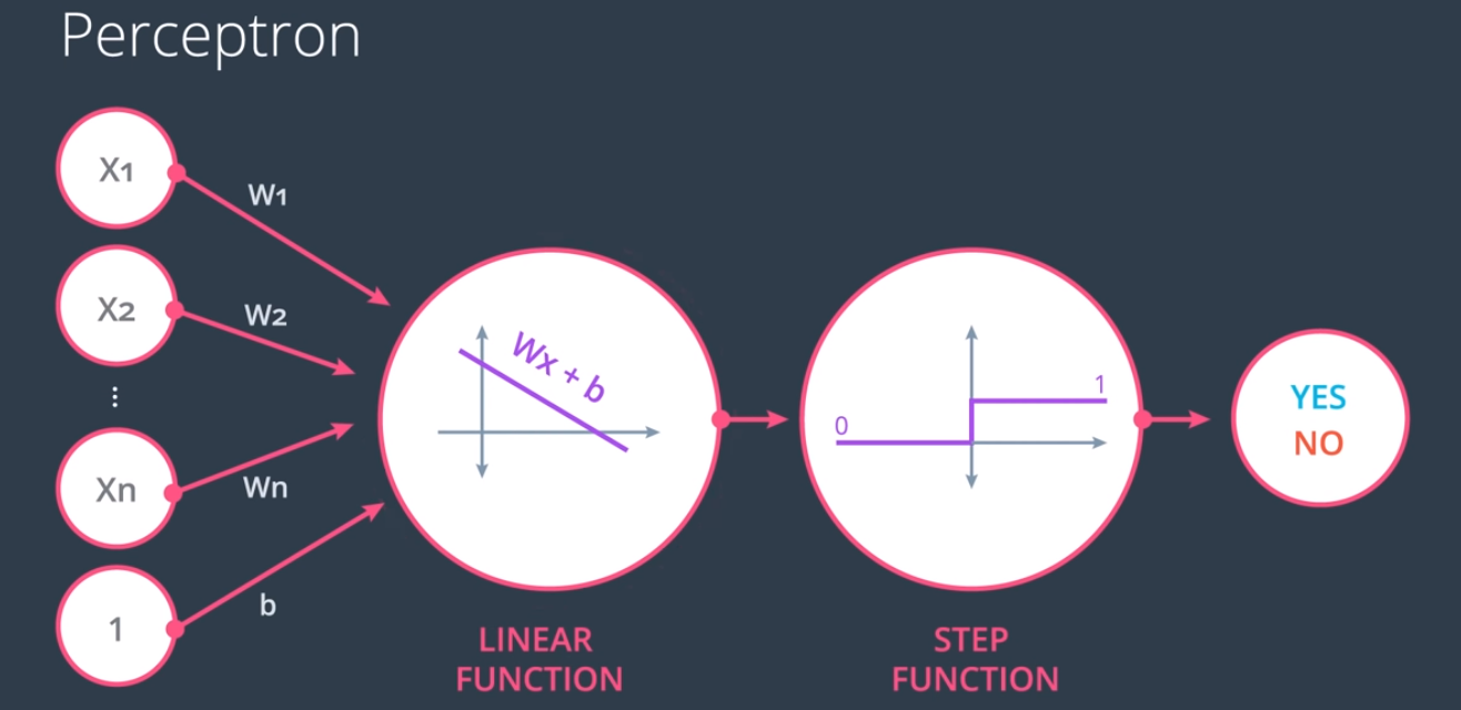 Perceptron