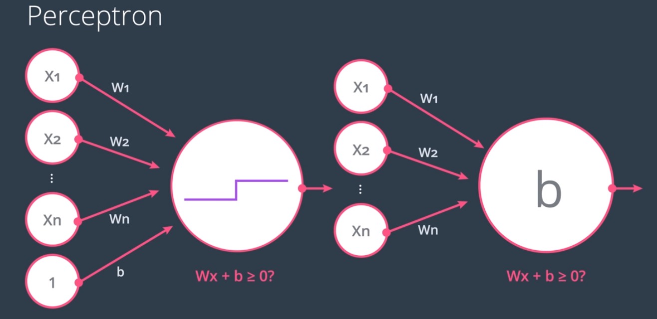 Perceptron Ways
