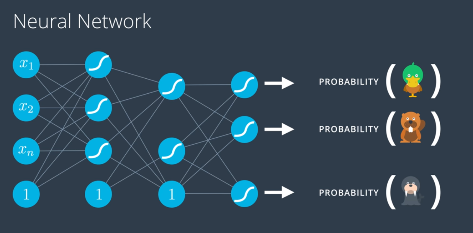 Neural Network